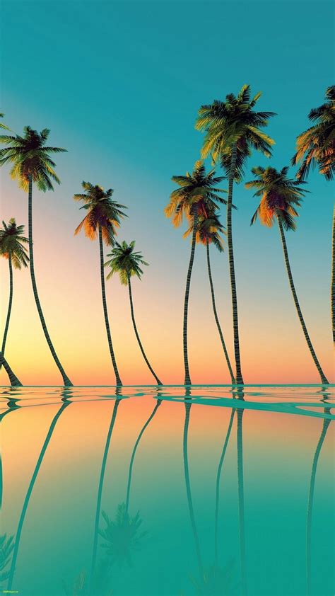 cool palm tree wallpaper|aesthetic palm tree wallpaper.